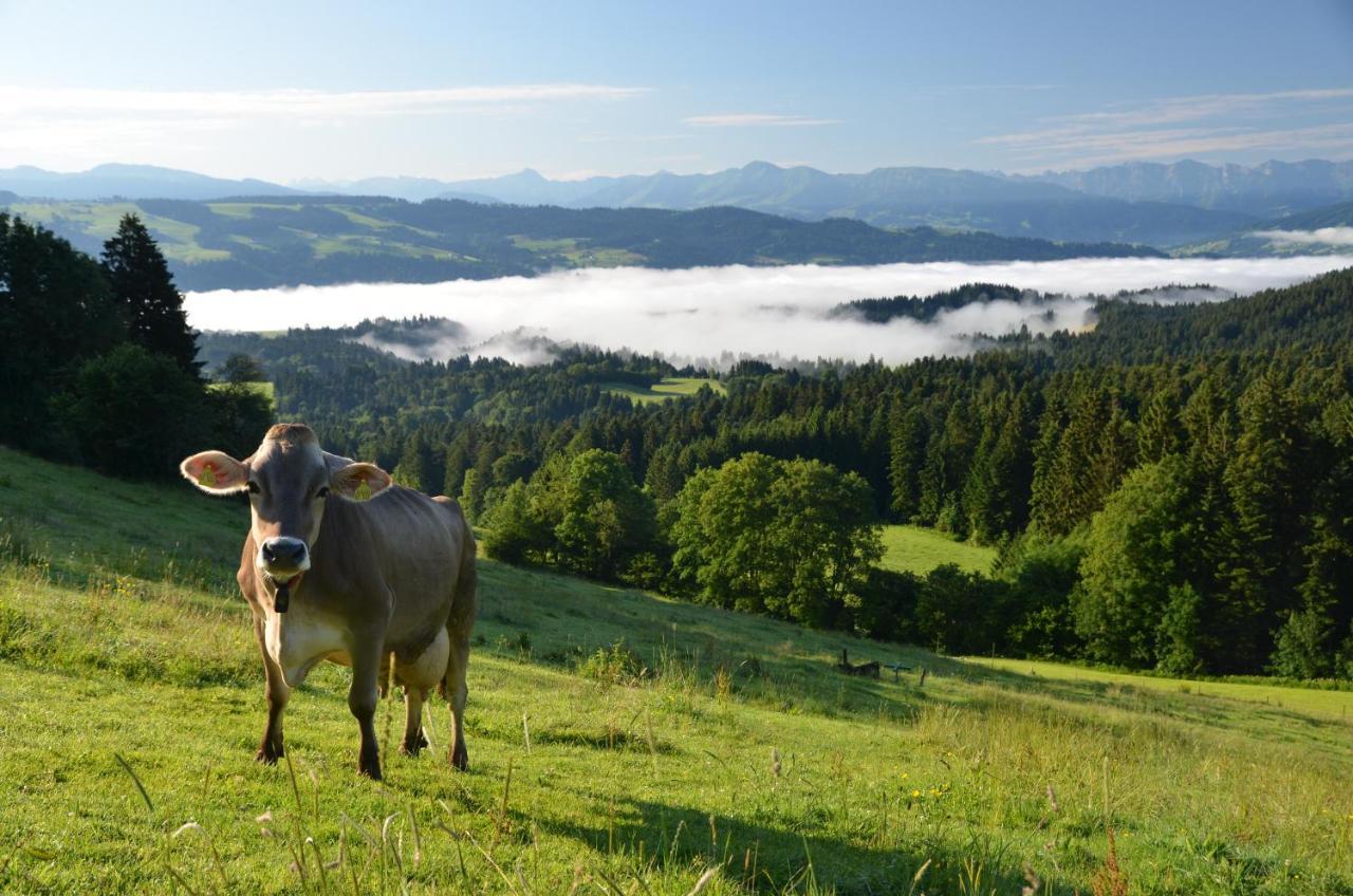Hotel Alpenrose Gut Schlafen & Fruehstuecken Scheidegg Εξωτερικό φωτογραφία