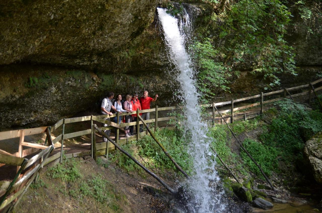 Hotel Alpenrose Gut Schlafen & Fruehstuecken Scheidegg Εξωτερικό φωτογραφία